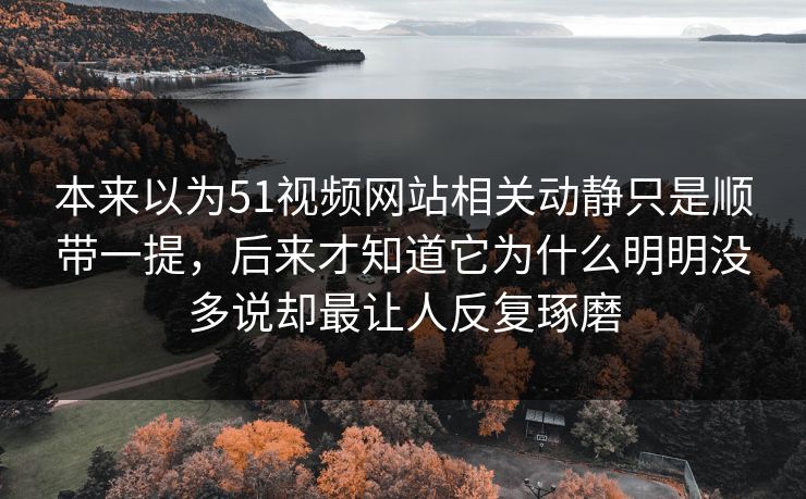 本来以为51视频网站相关动静只是顺带一提，后来才知道它为什么明明没多说却最让人反复琢磨