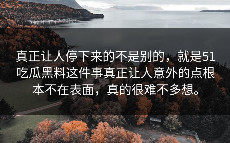 真正让人停下来的不是别的，就是51吃瓜黑料这件事真正让人意外的点根本不在表面，真的很难不多想。