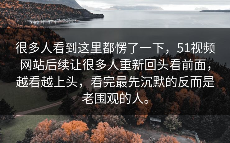 很多人看到这里都愣了一下，51视频网站后续让很多人重新回头看前面，越看越上头，看完最先沉默的反而是老围观的人。