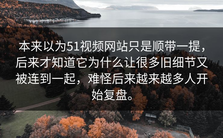 本来以为51视频网站只是顺带一提，后来才知道它为什么让很多旧细节又被连到一起，难怪后来越来越多人开始复盘。