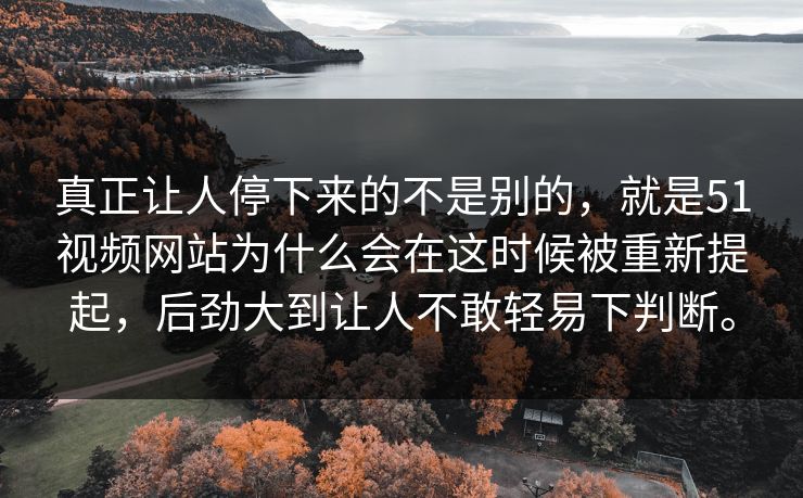 真正让人停下来的不是别的，就是51视频网站为什么会在这时候被重新提起，后劲大到让人不敢轻易下判断。