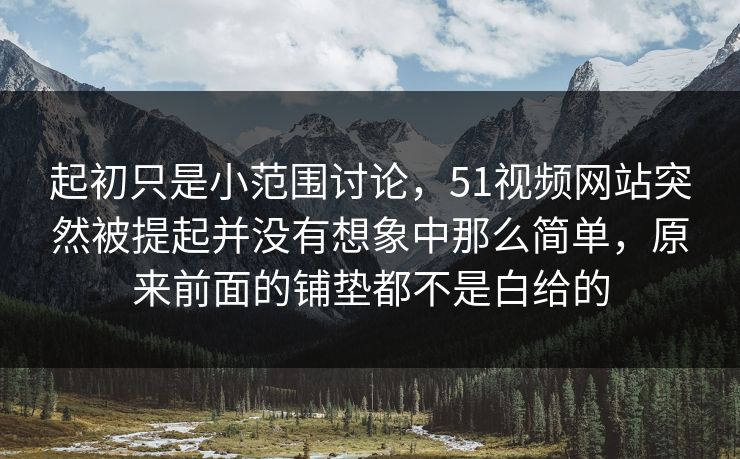 起初只是小范围讨论，51视频网站突然被提起并没有想象中那么简单，原来前面的铺垫都不是白给的