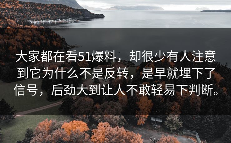 大家都在看51爆料，却很少有人注意到它为什么不是反转，是早就埋下了信号，后劲大到让人不敢轻易下判断。