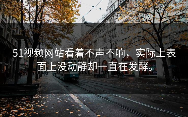 51视频网站看着不声不响，实际上表面上没动静却一直在发酵。