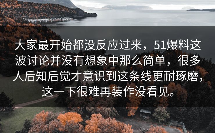 大家最开始都没反应过来，51爆料这波讨论并没有想象中那么简单，很多人后知后觉才意识到这条线更耐琢磨，这一下很难再装作没看见。