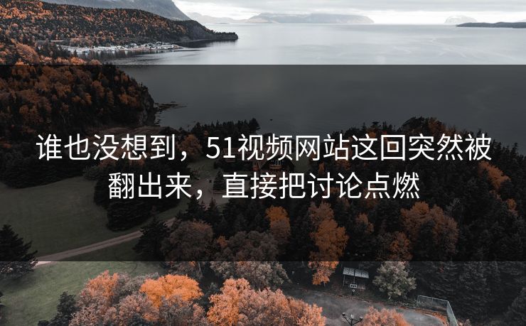 谁也没想到，51视频网站这回突然被翻出来，直接把讨论点燃